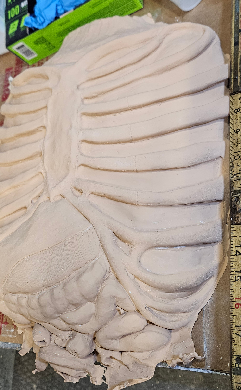 Latex Ribcage Blank Prop