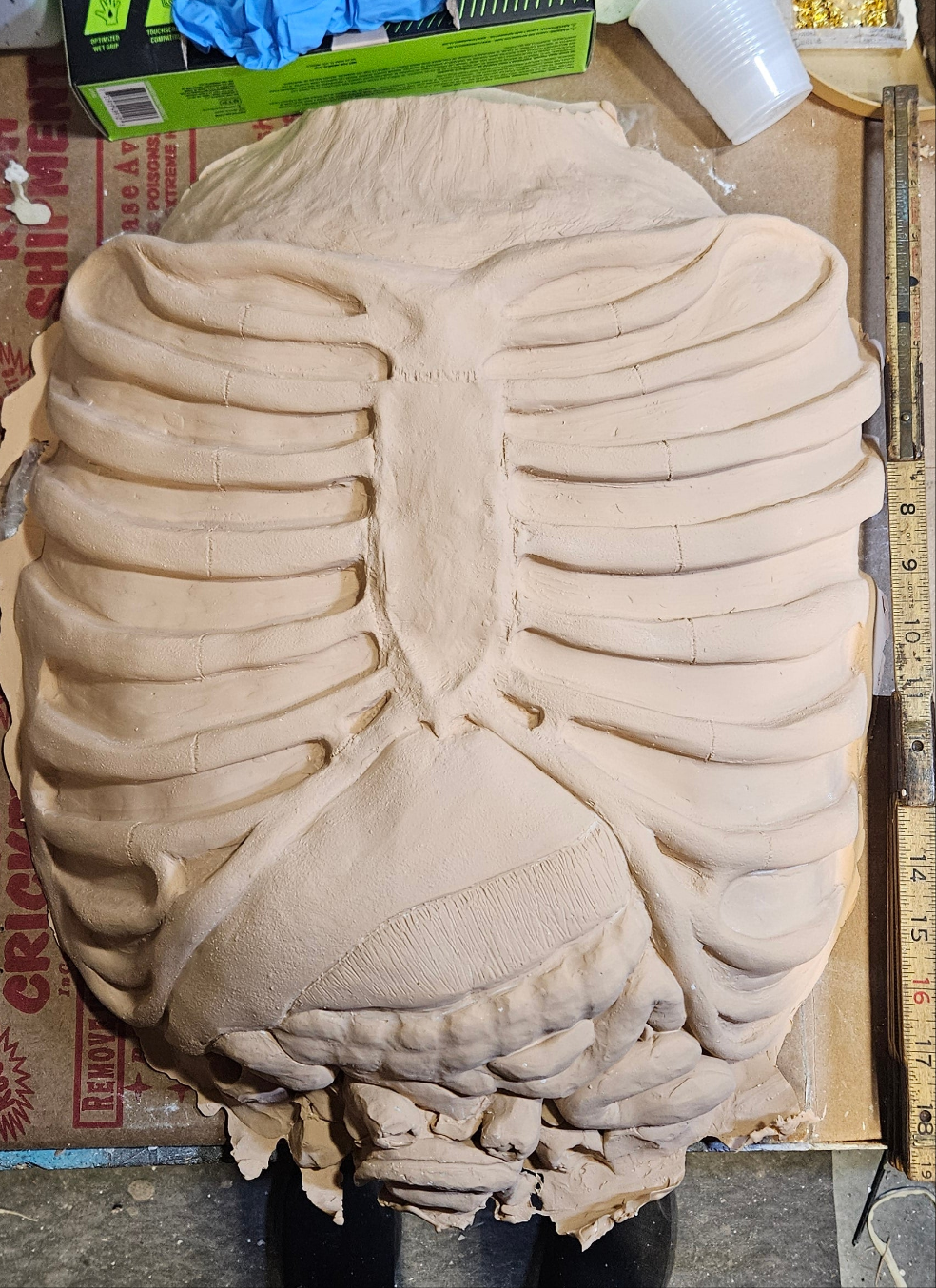 Latex Ribcage Blank Prop